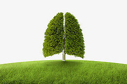 正確認(rèn)識(shí)睡眠和打呼，讓我們睡得更好！